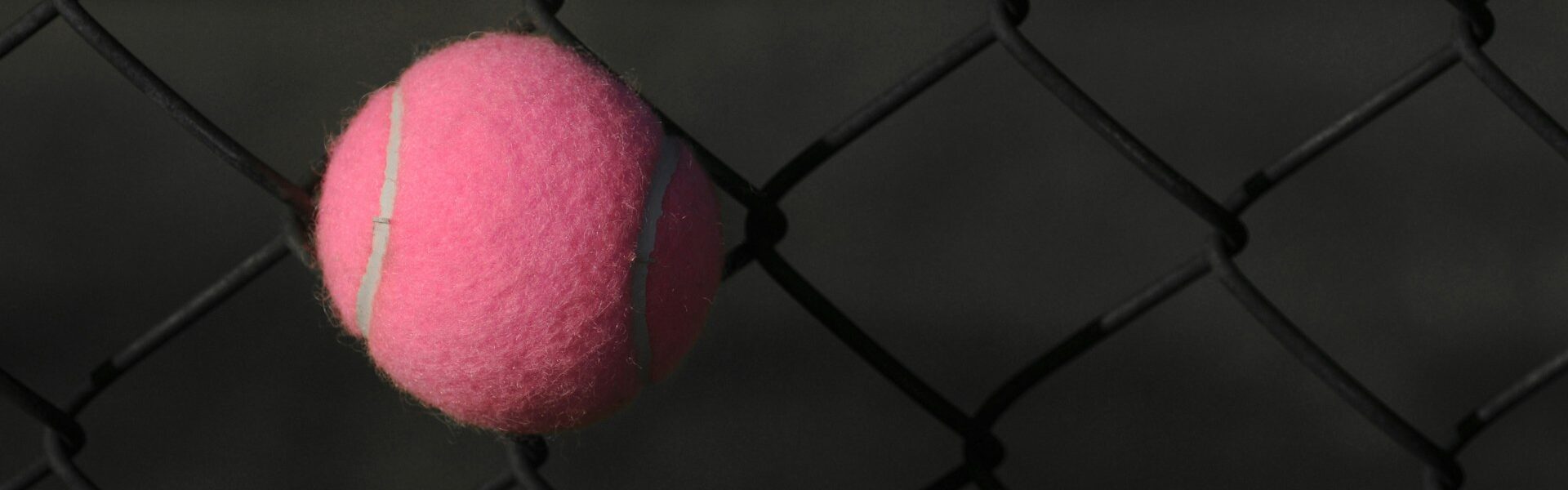 Photo by Ben Hershey on Unsplash